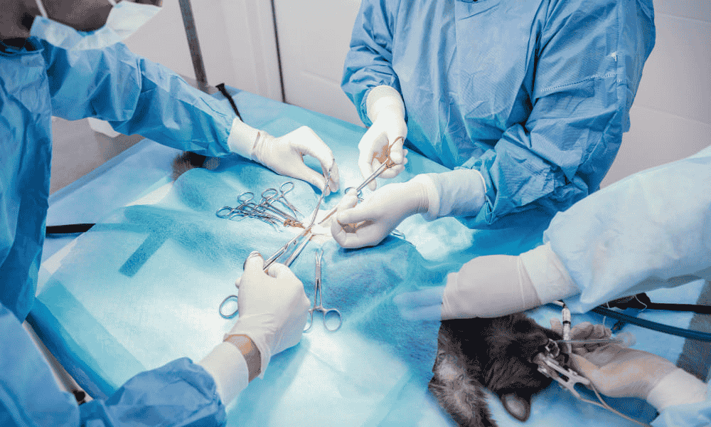 Cirugía y medicina interna