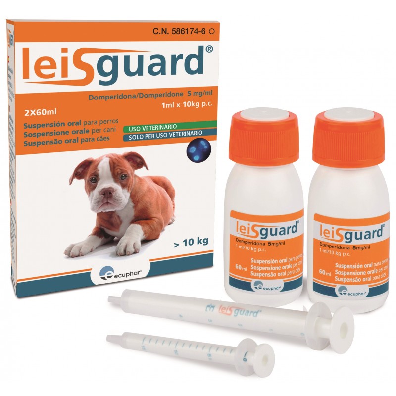 LEISGUARD