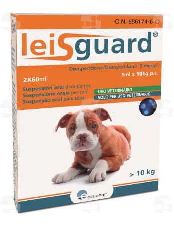 LEISGUARD
