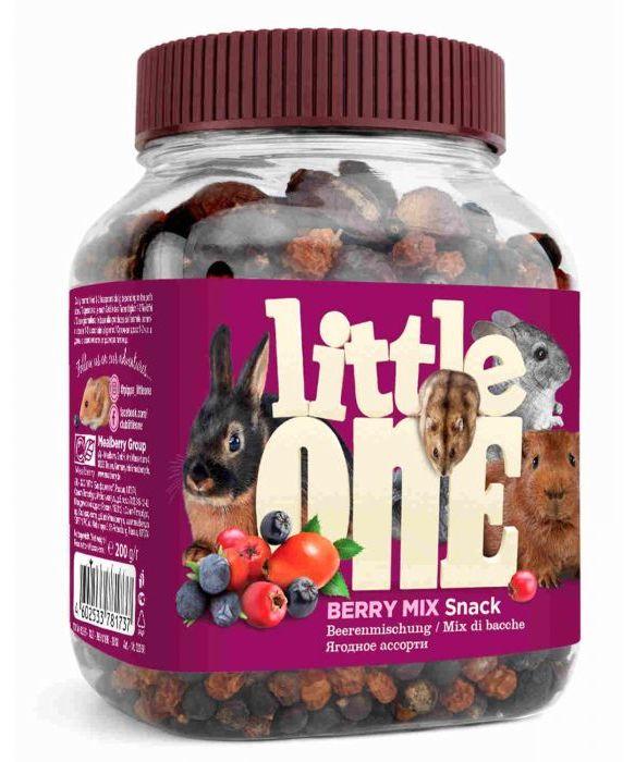 Snack de Frutas Mix Little One