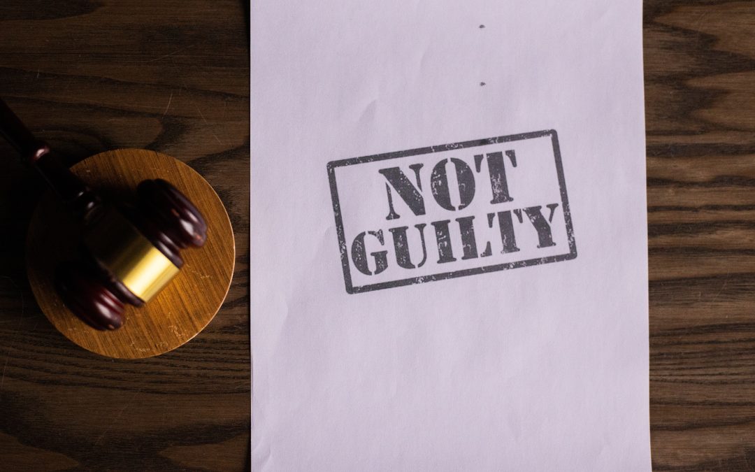 NUEVA LEY DE BIENESTAR ANIMAL: Implicaciones prácticas para perros, gatos, hurones y sus propietari@s